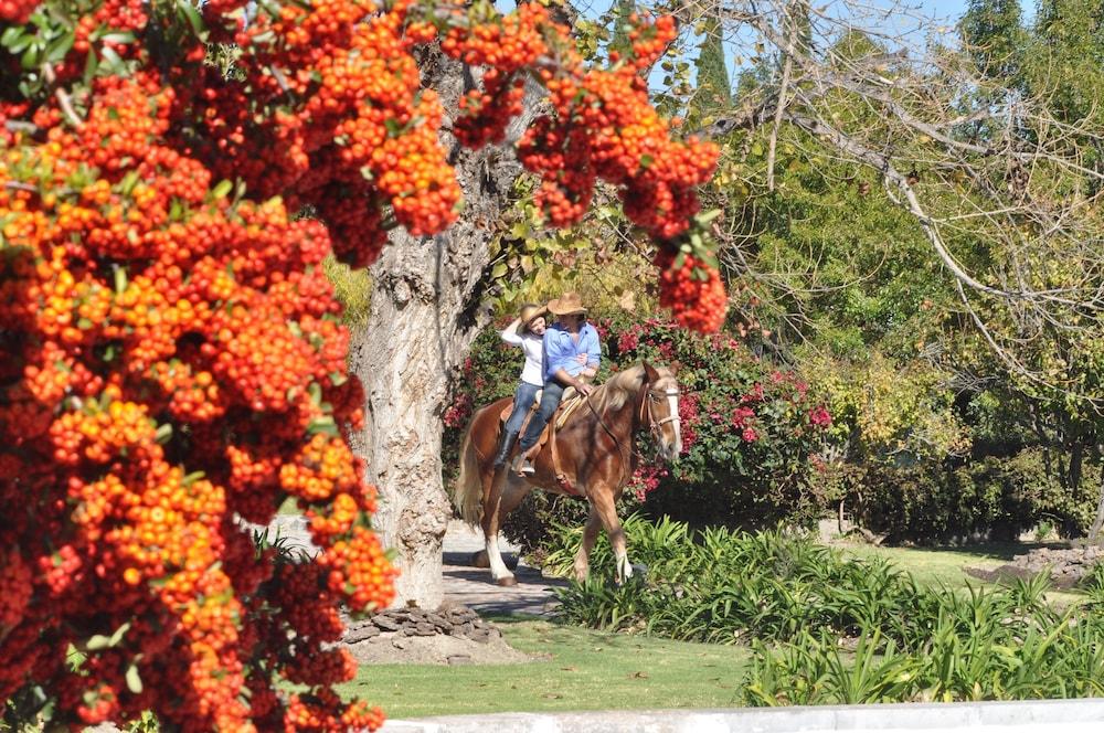 Hotel Hacienda Cantalagua Golf Contepec Extérieur photo